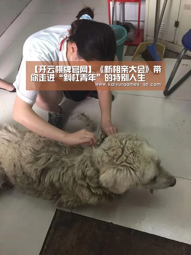 开云棋牌入口