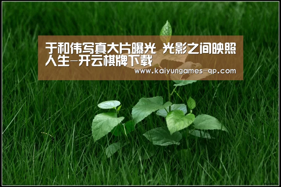 开云棋牌官网